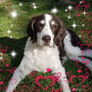 Meet your Posher, Vonda